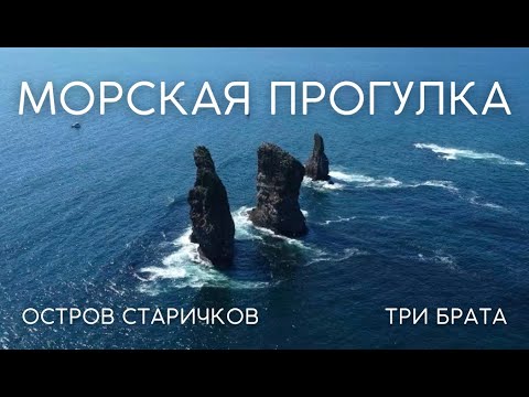 Видео: МОРСКАЯ ПРОГУЛКА | ОСТРОВ СТАРИЧКОВ | ТРИ БРАТА | КАМЧАТКА
