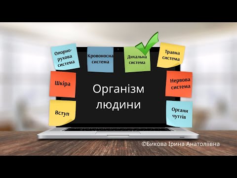 Видео: Організм людини: дихальна система