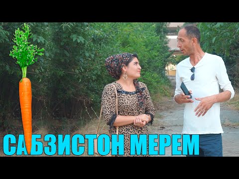 Видео: ЗАНИ ГАПДОН ЗАФАРА ШАРМАНДА КАРД.