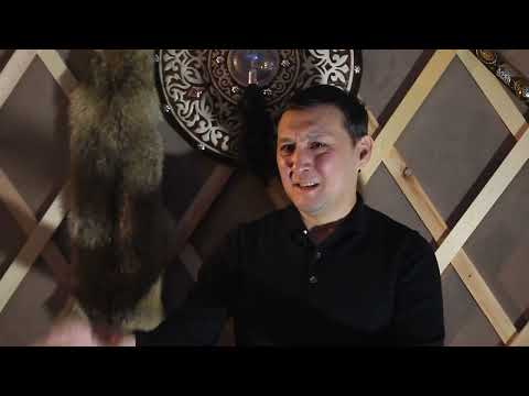 Видео: ТАЗЫ, как путь постижения смыслов