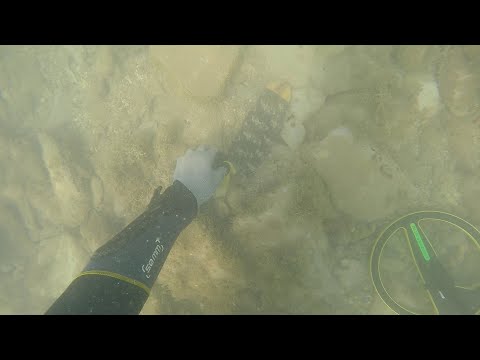 Видео: Подводный коп/Ищем золото c Minelab | Монеты, краб, носок:)