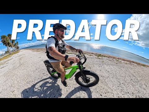 Видео: Я провел день на Wired Predator