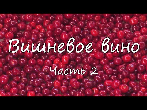 Видео: Вишневое вино. Часть 2.