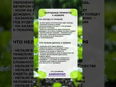 Видео: НИКОГДА не делайте ЭТО 4 ноября, если не хотите…#ноябрь #приметы #народныеприметы