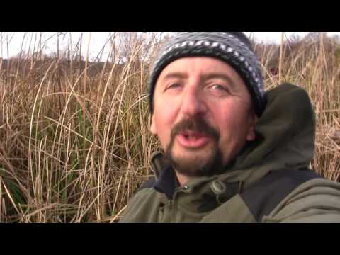Видео: Один на реке. Сезон 2. За осенней щукой