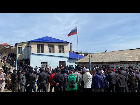 Видео: Оц бай