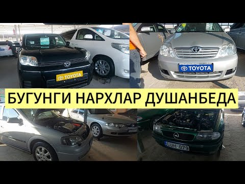 Видео: ДУШАНБЕ МОШЕН БОЗОРДА БУГУНГИ #НАРХЛАР# КАНДАЙ