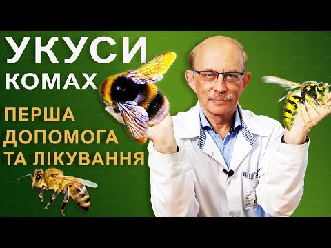 Видео: Вкусила бджола, оса, шершень або джміль - як зняти набряк, лікування, перша допомога