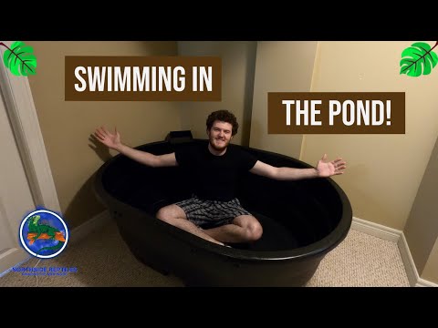 Видео: Создание комнатного пруда для черепах