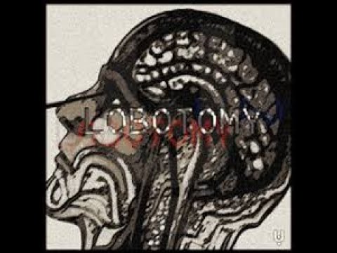 Видео: Новый мир и новое прохождение мира с модом Labotomy | 1 | Minecraft