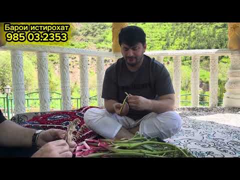 Видео: Гул дара сари хосор