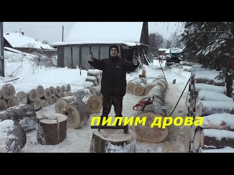 Видео: Заготовка дров. Пилим у дома.