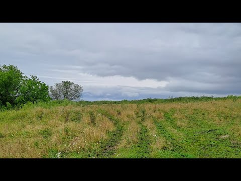 Видео: Жирный коп с ТХ-850. Старая деревня не перестаёт удивлять, крупное серебро.