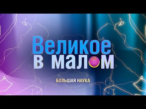 Видео: Великое в малом. Музыка и математика