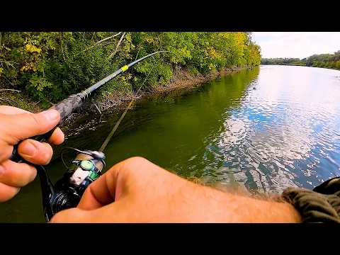 Видео: НИЧЕГО СЕБЕ! Его тут быть не должно! Рыбалка на спиннинг в сентябре на реке!