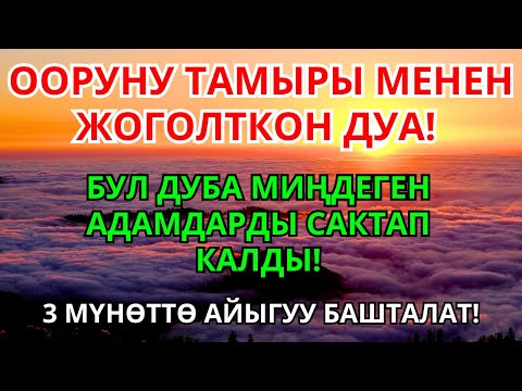 Видео: Пайгамбардын 3 мүнөттүк дубасы ооруну заматта жоготуп, денеңизге шыпаа берет
