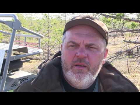 Видео: Охота с Кузенковым. Весенняя охота на гусей в Вологодской области