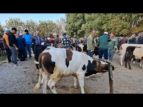 Видео: Молбозори Нуроншоҳ 17 09 25г