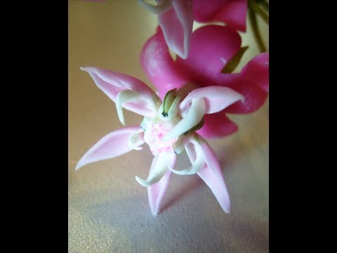 Видео: М.К. Асклепия (ваточник) из холодного фарфора.  Авторский М.К. Татьяны Несиной.