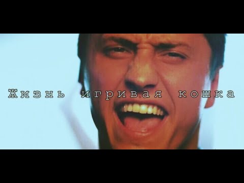 Видео: || Игорь Соколовский | Мажор || - Жизнь игривая кошка