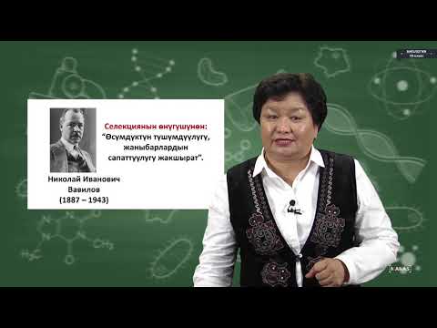 Видео: Биология - 10 класс - Селекция жана анын ыкмалары