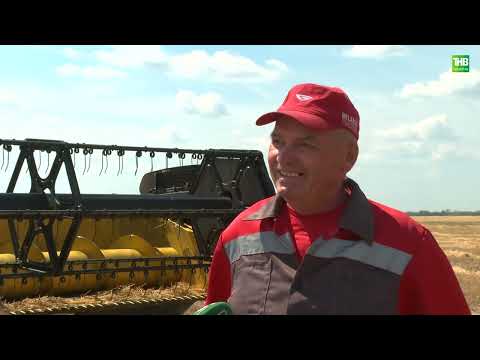 Видео: Туган җир 19/07/2024