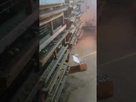 Видео: 🇰🇿Бөдене шаруашылығын неге қиындатып жібердік. 🇰🇿🤔