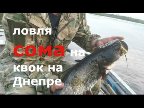 Видео: Рыбалка на сома, на Днепре от Макса!