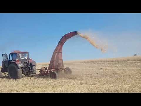 Видео: Чудо - юдо.