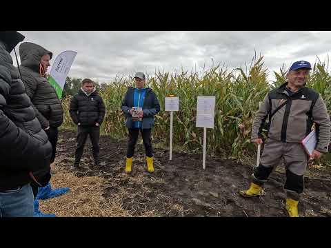 Видео: День поля PIONEER: Захист кукурудзи Corteva та результати живлення YaraMila (Частина 1)