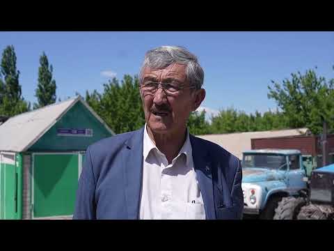 Видео: СӨЗ БЕН ІС | «АУЫЛ ӘКІМІНІҢ ҚОЛЫНДА ЕШТЕҢЕ ЖОҚ»