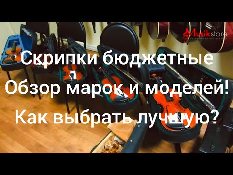 Видео: Купить скрипку  какую? Как выбрать и что нужно знать? Обзор моделей от Мьюзик-Стор | musik-store.ru