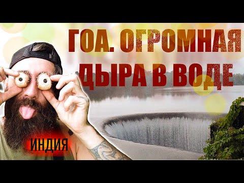 Видео: Южный Гоа. Дыра в воде, рядом с садом Салаулим. Нашли БАОБАБ!