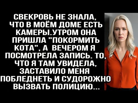 Видео: Свекровь не знала, что в моём доме есть камеры. После её визита я посмотрела запись и ужаснулась...