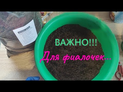 Видео: Эпизод 5. Какой ГРУНТ нужен фиалкам???