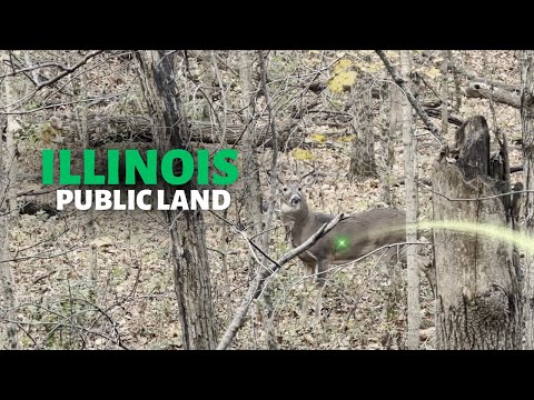 Видео: Открытая охота с луком в Иллинойсе 2025 г. | Срочный заказ в последнюю минуту!