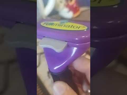 Видео: Расчёски для Мейн Куна