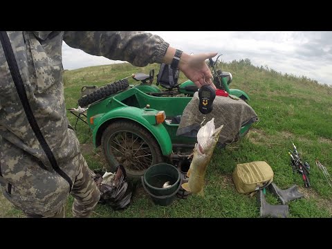 Видео: Ловля щуки на живца с берега.