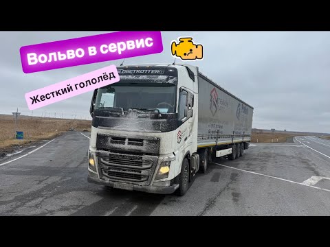 Видео: ГОЛОЛЕД/СНЕГОПАД/ВОЛЬВА СДОХЛА/
