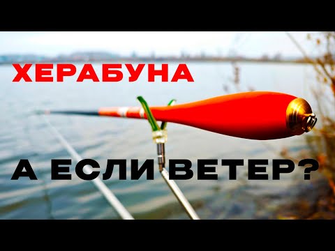 Видео: ОСЕНЬ. ВЕТЕР. Будет рыба?! ХЕРАБУНА. JIADIAONI Extreme (28/4,8 м)