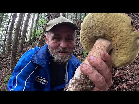 Видео: Трам ТРАМ трам..Дивись який! Ти шо! Невже ПОЧАЛОСЯ...12-те +14