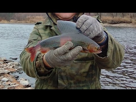 Видео: Река Тумнин и ее притоки, бухта Сизиман, Хабаровский край.