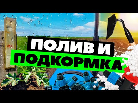 Видео: Полив и подкормка арбуза 💦🌱🚜 14 06 22