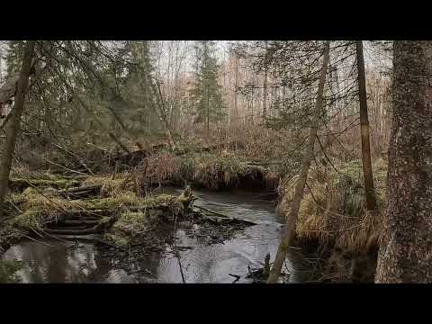 Видео: Германов остров (1 ноября 2025). 