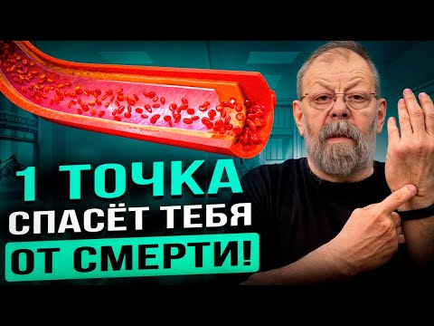 Видео: ВНИМАНИЕ !!! УЧЕНЫЕ раскрыли 3 ПРАВИЛА, чтобы ЖИТЬ ДОЛГО!