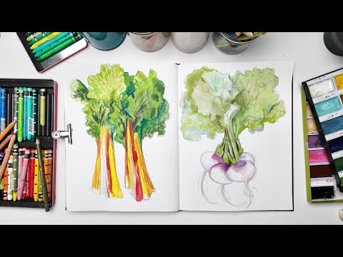 Видео: Рисую овощи акварелью и цветными карандашами. Рассказываю про продвижение для художников.