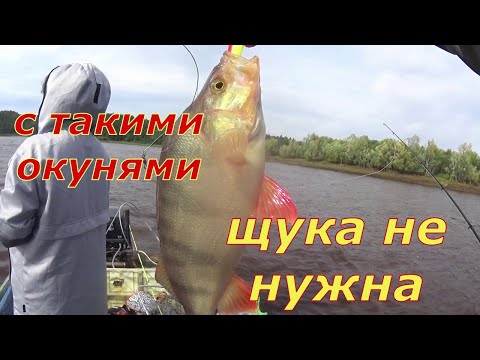 Видео: Зачем мне щука? Когда такие горбачи клюют.