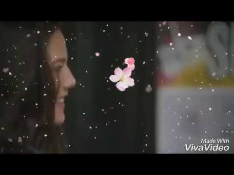 Видео: Кол & Давина -Вампир