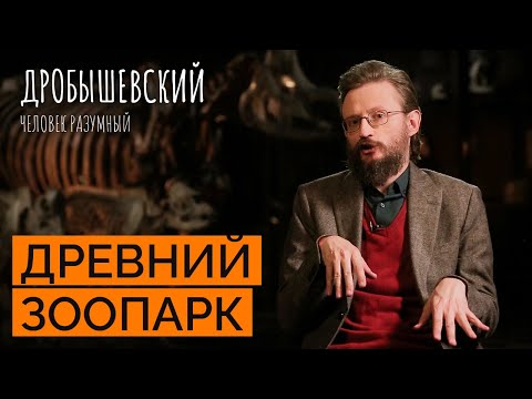 Видео: Как на эволюцию предков повлиял животный мир // Дробышевский