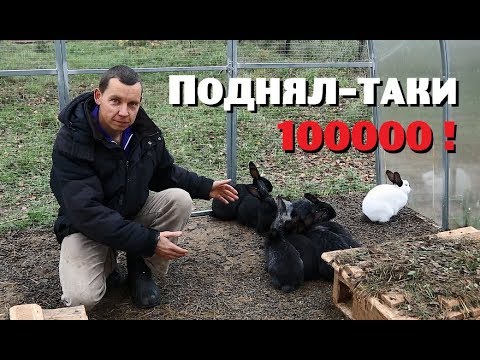 Видео: ВСЁ-ТАКИ ПОДНЯЛ 100000 руб.на кроликах!